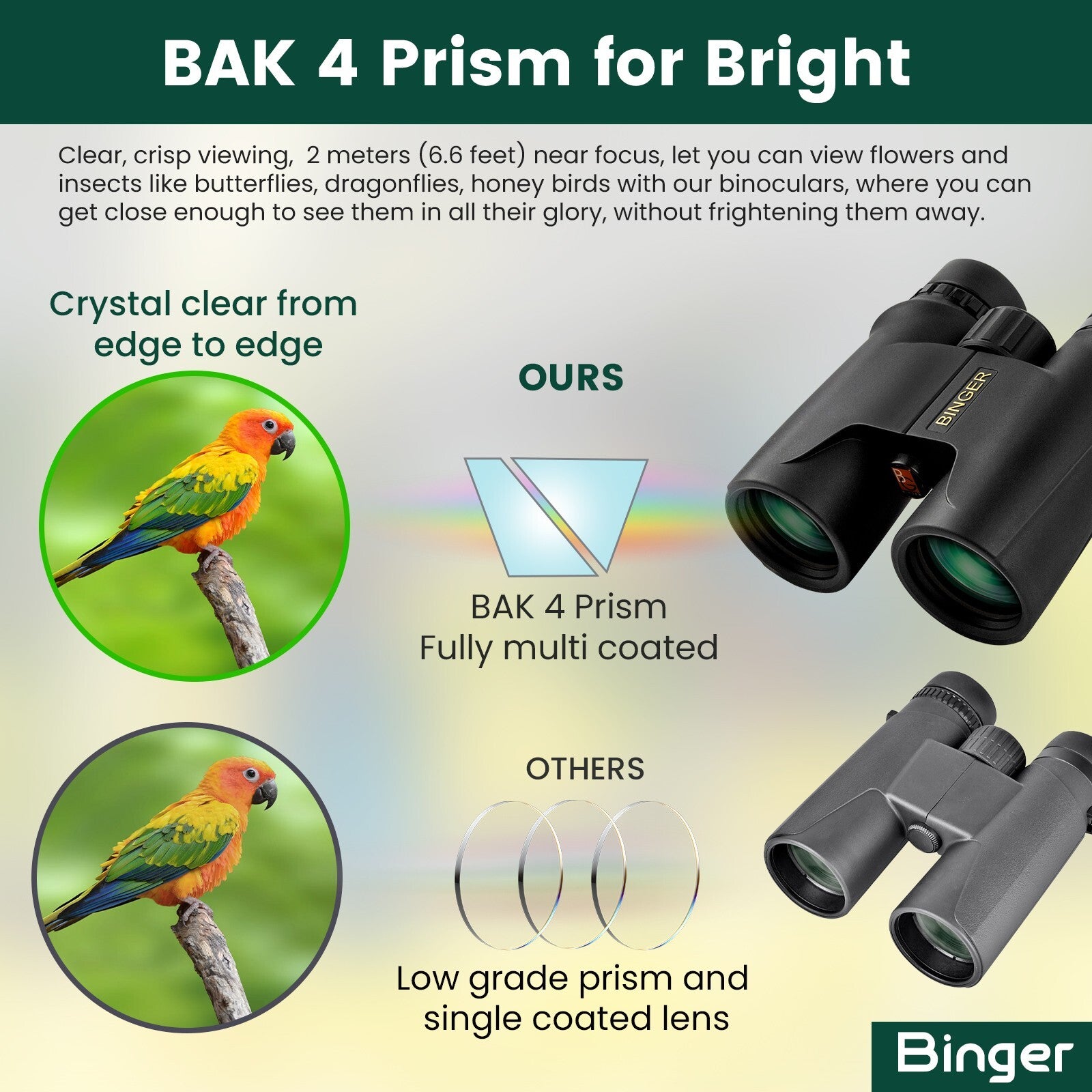 Binge10x42 waterproof binocular hunting, birdwatching, comping, hiking, o ring