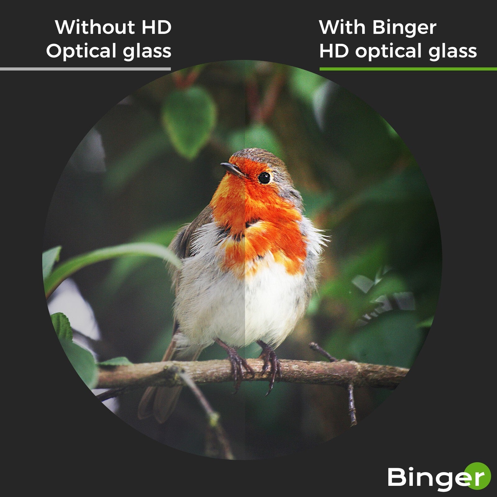 BINGER 10x42 monocular with focusing wheel for adult Birdwatching, hunting